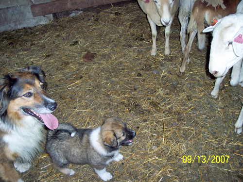  Sasha and her granddaughter.